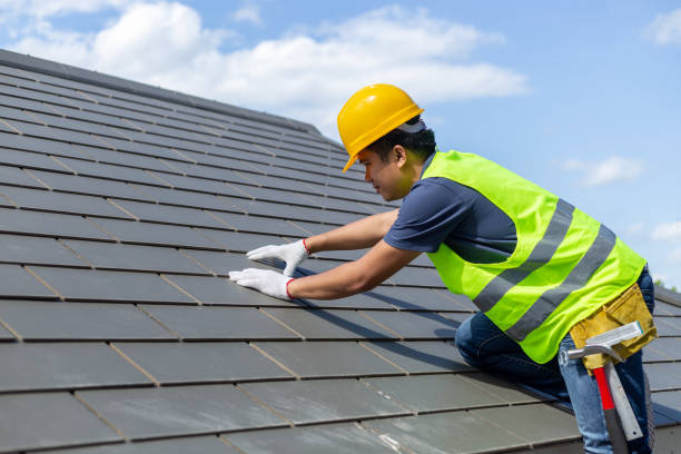 Best Roof Gutter Cleaning  in Polson, MT